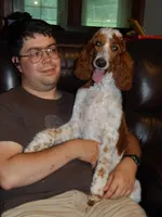 PRESTIGE'S "CASSIE", a female Poodle - Standard  for sale in Winston-Salem, NC – Photo 1 of 8