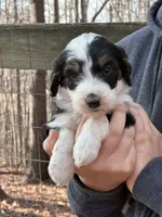 processed/55a06a52-d280-430a-b0b0-2f7721195ab7/listing/3c90b087-da4e-4e6f-b423-bba90d22782e/2f5d7e89-0dbc-4a44-9253-24697d2dd476