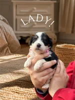 processed/55a06a52-d280-430a-b0b0-2f7721195ab7/listing/3c90b087-da4e-4e6f-b423-bba90d22782e/402e310c-e44d-4fe4-a121-a1f9c0d487f8