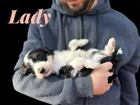 processed/55a06a52-d280-430a-b0b0-2f7721195ab7/listing/3c90b087-da4e-4e6f-b423-bba90d22782e/5ee6731d-eb6f-4954-ab89-38a917f3b23e