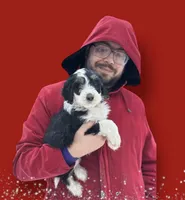 processed/55a06a52-d280-430a-b0b0-2f7721195ab7/listing/3c90b087-da4e-4e6f-b423-bba90d22782e/ad76fa7e-285a-4351-bc20-12b4aa87614c