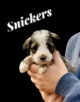 processed/55a06a52-d280-430a-b0b0-2f7721195ab7/listing/88eadcc1-7520-46a7-8735-fbb7b8809e3f/00a235b8-9c19-49cf-9bda-9d97a7c82843