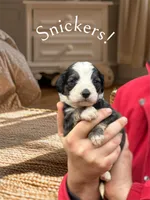 processed/55a06a52-d280-430a-b0b0-2f7721195ab7/listing/88eadcc1-7520-46a7-8735-fbb7b8809e3f/2ff2a545-68fc-415f-bfc8-3df5fc1462d3