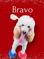 processed/55a06a52-d280-430a-b0b0-2f7721195ab7/listing/88eadcc1-7520-46a7-8735-fbb7b8809e3f/67190393-2a4f-41ca-a0b4-c1821c4c1144