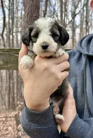 processed/55a06a52-d280-430a-b0b0-2f7721195ab7/listing/88eadcc1-7520-46a7-8735-fbb7b8809e3f/d9219366-1fd7-45d9-818b-b1f0f6b893d9