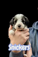 processed/55a06a52-d280-430a-b0b0-2f7721195ab7/listing/88eadcc1-7520-46a7-8735-fbb7b8809e3f/e4d1315b-a938-4fed-900e-777075673127