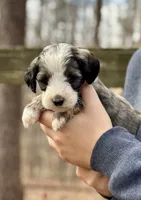 processed/55a06a52-d280-430a-b0b0-2f7721195ab7/listing/88eadcc1-7520-46a7-8735-fbb7b8809e3f/f0256ba2-2c93-4b42-84b1-2034224ec38e