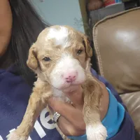 processed/55aea93e-33c7-4666-9ac0-6775a2d20f1c/listing/011bd7bf-b08b-4cf0-a21e-6018e5e47ebe/a7648735-d607-43b3-83c8-cb465c843d96