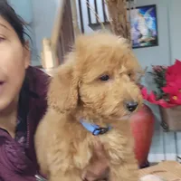 processed/55aea93e-33c7-4666-9ac0-6775a2d20f1c/listing/101da6ce-5743-4efe-90dd-308e3f5a300a/00145f86-8814-4b13-9cf1-4ce0ea7d43a8