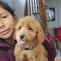 processed/55aea93e-33c7-4666-9ac0-6775a2d20f1c/listing/101da6ce-5743-4efe-90dd-308e3f5a300a/e7f01804-ead4-43cb-a018-3c33db2ce027