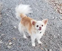 processed/55b567a7-4c69-47f8-80fb-3061847017d1/listing/438ad104-6a58-40fc-a6ba-e5bb83250366/8f9547e0-0fcd-4a99-952c-f6b86c0ea948