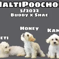 processed/55bf990b-69ba-4168-9d54-623f44295d95/facility/0790abe3-28b3-411d-8167-95e39932754f