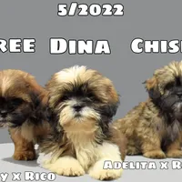 processed/55bf990b-69ba-4168-9d54-623f44295d95/facility/07f9e2e1-fea1-4347-9cd1-9501579103cc