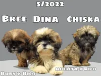 processed/55bf990b-69ba-4168-9d54-623f44295d95/facility/07f9e2e1-fea1-4347-9cd1-9501579103cc