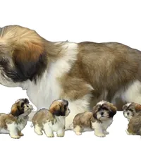 processed/55bf990b-69ba-4168-9d54-623f44295d95/facility/50a3b959-7034-4f8f-8843-ef3412bc5c76