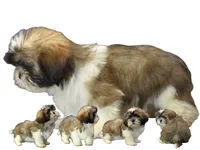 processed/55bf990b-69ba-4168-9d54-623f44295d95/facility/50a3b959-7034-4f8f-8843-ef3412bc5c76