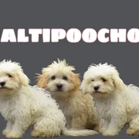 processed/55bf990b-69ba-4168-9d54-623f44295d95/facility/54bf18c4-99da-42e6-ae7c-121204cb4878