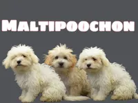 processed/55bf990b-69ba-4168-9d54-623f44295d95/facility/54bf18c4-99da-42e6-ae7c-121204cb4878