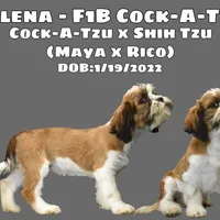 processed/55bf990b-69ba-4168-9d54-623f44295d95/facility/5ebcbfe9-8bf5-4694-bee0-4c134c8ba613