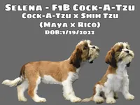 processed/55bf990b-69ba-4168-9d54-623f44295d95/facility/5ebcbfe9-8bf5-4694-bee0-4c134c8ba613