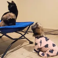 processed/55bf990b-69ba-4168-9d54-623f44295d95/facility/8c0a58bc-088e-4946-ae40-0a9e4044f97f