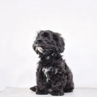 processed/55bf990b-69ba-4168-9d54-623f44295d95/facility/a5651954-3d3b-41fa-9f77-8cc4ec5e07e4