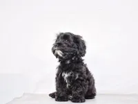 processed/55bf990b-69ba-4168-9d54-623f44295d95/facility/a5651954-3d3b-41fa-9f77-8cc4ec5e07e4