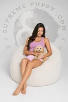 Reba, a female Maltipoo for sale in San Diego, CA – 1 of 6