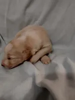 processed/55c2a628-7fcf-4955-94e6-299424d32a83/listing/097b386b-b6a6-4763-8407-981085af1a4c/04ce4998-8440-4c32-b956-ba20bd0d373d