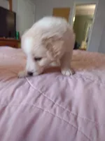 processed/55c2a628-7fcf-4955-94e6-299424d32a83/listing/097b386b-b6a6-4763-8407-981085af1a4c/365d55d6-6410-4ff7-99b1-276561a64e0e