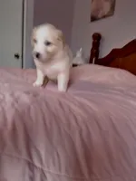 processed/55c2a628-7fcf-4955-94e6-299424d32a83/listing/097b386b-b6a6-4763-8407-981085af1a4c/8eb06326-3ce8-4906-a61b-51b8d4491c35