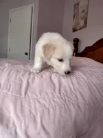 processed/55c2a628-7fcf-4955-94e6-299424d32a83/listing/097b386b-b6a6-4763-8407-981085af1a4c/92943033-9ca3-467a-9182-149ab123c86f