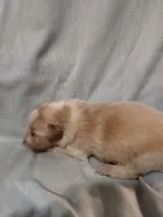 processed/55c2a628-7fcf-4955-94e6-299424d32a83/listing/097b386b-b6a6-4763-8407-981085af1a4c/9e41ecee-f780-416d-90c9-894ac28babb1