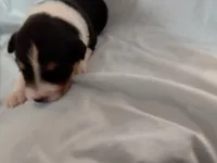 processed/55c2a628-7fcf-4955-94e6-299424d32a83/listing/1578e059-d1c5-40d5-af51-067c021e500d/0b974570-8cf7-45ef-80a6-53393e6e81d9