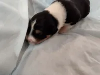 processed/55c2a628-7fcf-4955-94e6-299424d32a83/listing/1578e059-d1c5-40d5-af51-067c021e500d/63b8c779-fe35-4777-bcee-59a8a1b31d12