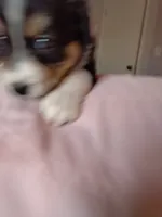 processed/55c2a628-7fcf-4955-94e6-299424d32a83/listing/1578e059-d1c5-40d5-af51-067c021e500d/8efef6d8-1bc1-4496-8d71-8c59f727c6a8