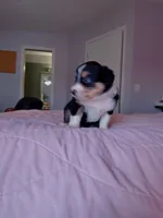 processed/55c2a628-7fcf-4955-94e6-299424d32a83/listing/1578e059-d1c5-40d5-af51-067c021e500d/9a555356-3046-43a7-9df3-0a7aefc88d6b