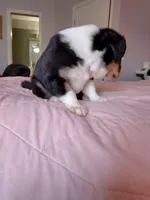 processed/55c2a628-7fcf-4955-94e6-299424d32a83/listing/1578e059-d1c5-40d5-af51-067c021e500d/ad85a7f9-a169-46b4-a053-6d9265ce83e2