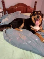 processed/55c2a628-7fcf-4955-94e6-299424d32a83/listing/1a2ba851-607a-4728-8f33-e0b6d1752e24/54cd0cb8-b9e2-4642-8d6f-716af516ea49