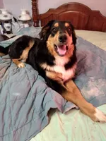 processed/55c2a628-7fcf-4955-94e6-299424d32a83/listing/1a2ba851-607a-4728-8f33-e0b6d1752e24/9bc86e2e-2e16-46a6-bff7-f0a4fe876e00