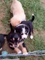 processed/55c2a628-7fcf-4955-94e6-299424d32a83/listing/725f56cc-64d5-443a-a217-060b9beeb9c9/2669281c-db78-4932-a2b5-0d7771e51888