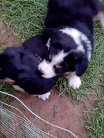 processed/55c2a628-7fcf-4955-94e6-299424d32a83/listing/725f56cc-64d5-443a-a217-060b9beeb9c9/85379106-77e9-400e-bfbd-4160f31fd9e0