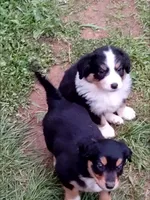 processed/55c2a628-7fcf-4955-94e6-299424d32a83/listing/725f56cc-64d5-443a-a217-060b9beeb9c9/8dfd4823-884a-4b73-b6fa-9b547f7e3e21