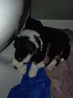 processed/55c2a628-7fcf-4955-94e6-299424d32a83/listing/725f56cc-64d5-443a-a217-060b9beeb9c9/d1e91ff6-134b-49f5-9692-e806ad4eb651