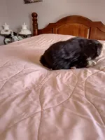 processed/55c2a628-7fcf-4955-94e6-299424d32a83/listing/81a91c36-74eb-484b-a4c5-f8effda66c16/19030776-b251-4faa-a6b3-7f4197afa42a