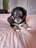 processed/55c2a628-7fcf-4955-94e6-299424d32a83/listing/81a91c36-74eb-484b-a4c5-f8effda66c16/5e3026d2-02cd-4605-83d3-c63b5f0352cd