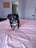 processed/55c2a628-7fcf-4955-94e6-299424d32a83/listing/81a91c36-74eb-484b-a4c5-f8effda66c16/bd986dc2-e46d-4344-ab59-72eeb134fb46