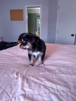 processed/55c2a628-7fcf-4955-94e6-299424d32a83/listing/81a91c36-74eb-484b-a4c5-f8effda66c16/f3fcea0b-db3c-47e5-b353-9b5e91a8ce51