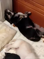 processed/55c2a628-7fcf-4955-94e6-299424d32a83/listing/8be1a15c-c42f-49b0-ba30-9e418af50430/0206238d-044c-43cb-8373-a19225db6f4e