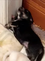 processed/55c2a628-7fcf-4955-94e6-299424d32a83/listing/8be1a15c-c42f-49b0-ba30-9e418af50430/020f173a-b7f7-4b86-a133-e7bf44a1ee74